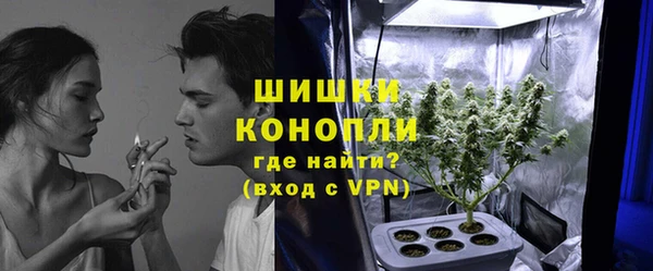 марки lsd Пересвет