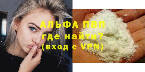 прущие грибы Пестово